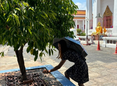 กิจกรรมทำบุญและบำเพ็ญประโยชน์ทำความสะอาดสถานที่สาธารณะ ... พารามิเตอร์รูปภาพ 9